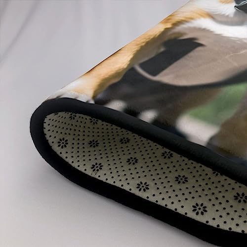 French Bulldog Meow Meow French Bulldog French Bulldog Flannel Floor Mat
