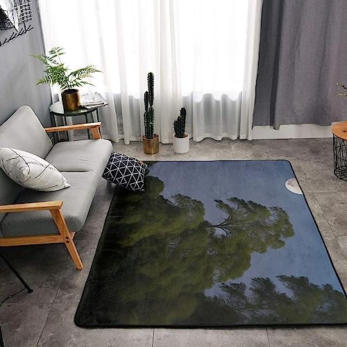 Red Flower and Moon Carpet 63x48in Washable Non-Slip Kitchen Mat