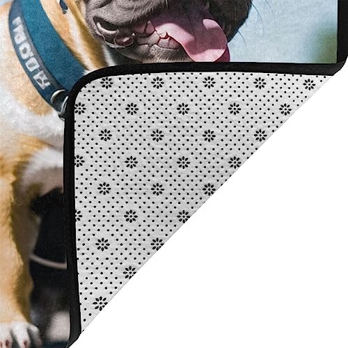 French Bulldog Meow Meow French Bulldog French Bulldog Flannel Floor Mat