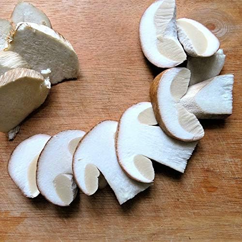 Glow softly into the spotlight with the KitchenCraft Mushroom Cleaning Brush